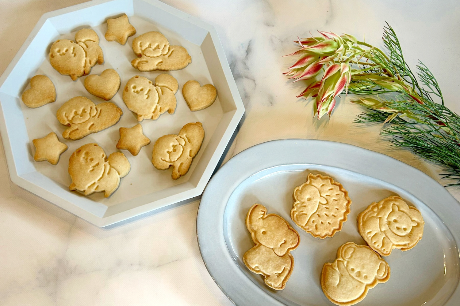 ヴィーガンクッキー！柴犬とプードルのフラワー缶と動物のクッキー缶セット